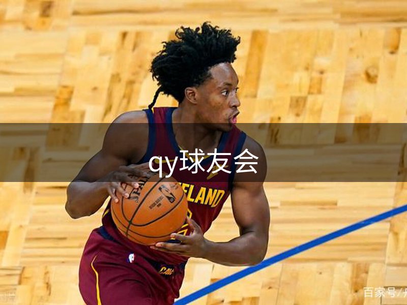 网站概况